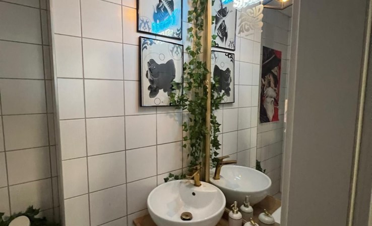 lokal na wynajem - Gliwice